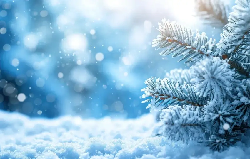 Background mùa đông vector thiết kế dễ sử dụng