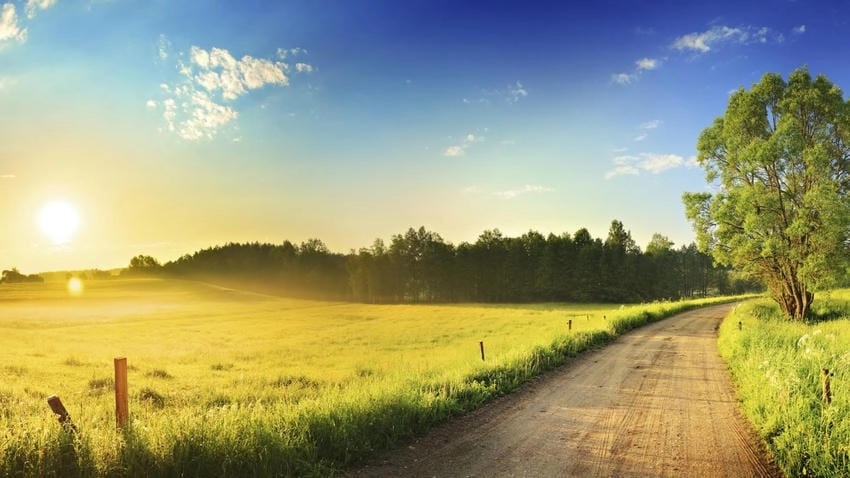 Background mùa hè tổng hợp đa dạng lựa chọn