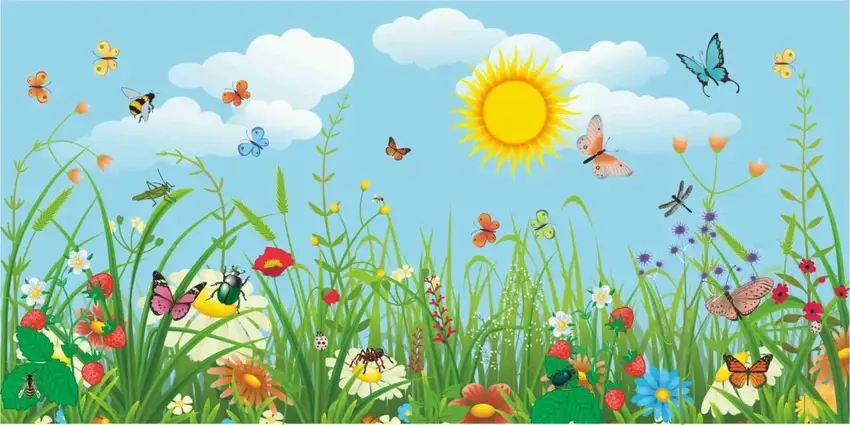 Background mùa hè chất lượng cao sắc nét từng chi tiết