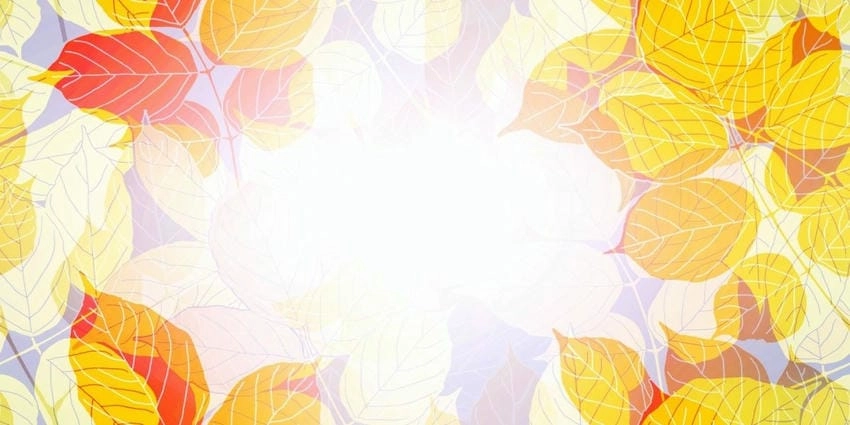 Background mùa thu đa năng phù hợp nhiều mục đích