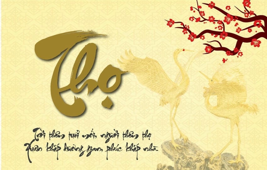 Background mừng thọ cho phông chụp ảnh ghi lại khoảnh khắc đẹp