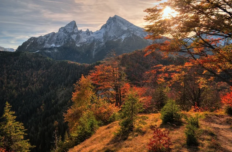 Tạo điểm nhấn sáng tạo với background núi vector tinh tế