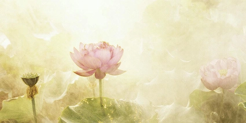 Background Phật đản hiện đại kết hợp cổ điển và sáng tạo