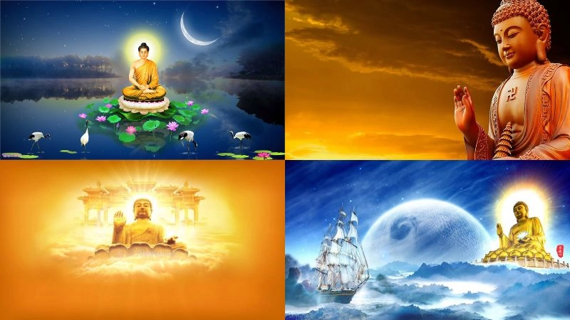 Background phật giáo mang lại cảm giác an yên thuần khiết