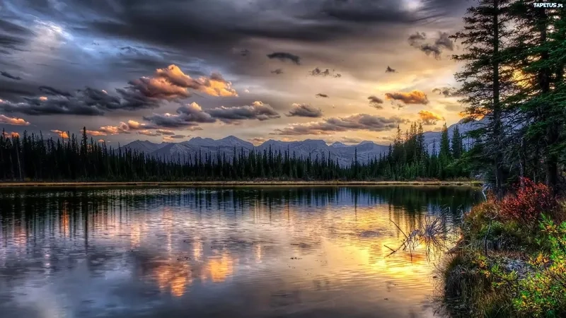 Background phong cảnh website mang lại cảm giác tự nhiên và chuyên nghiệp