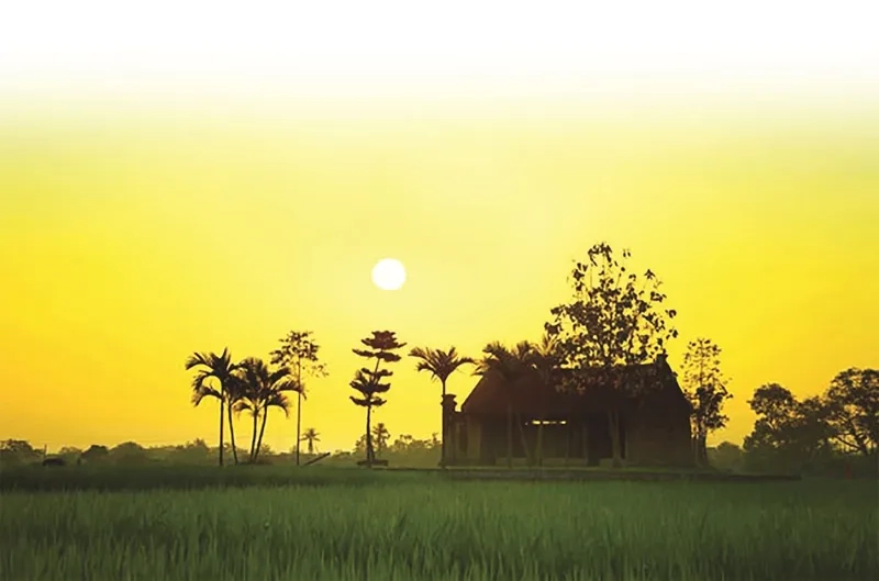 Hình ảnh sắc nét với background quê hương 4K sống động