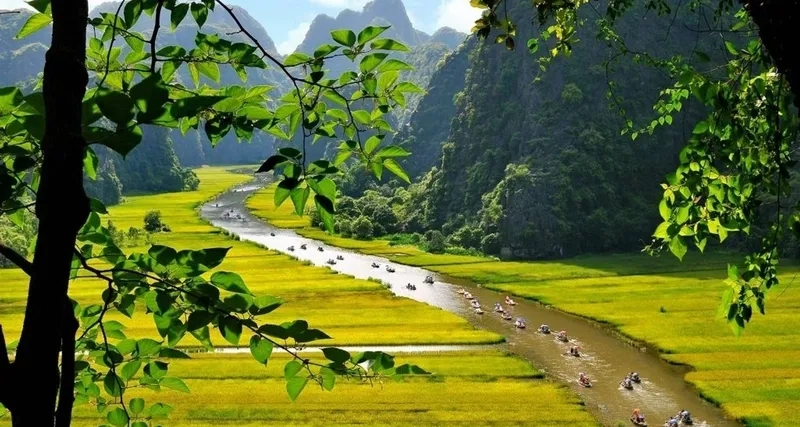 Background quê hương dễ thương làm bạn thích mê