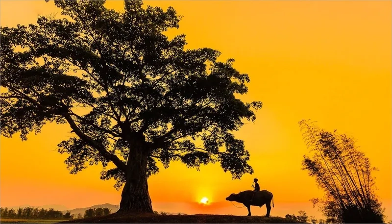 Khám phá sáng tạo với background quê hương trừu tượng