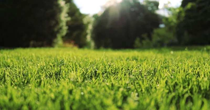 Tải ngay background sân cỏ bóng đá cho hình nền thể thao cực chất