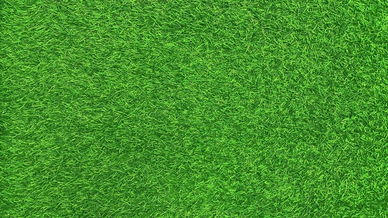 Tăng sức hút thương hiệu với background sân cỏ quảng cáo chuyên nghiệp