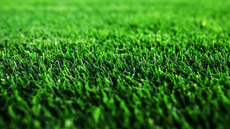 Lan tỏa năng lượng tích cực với background sân cỏ chủ đề thể thao