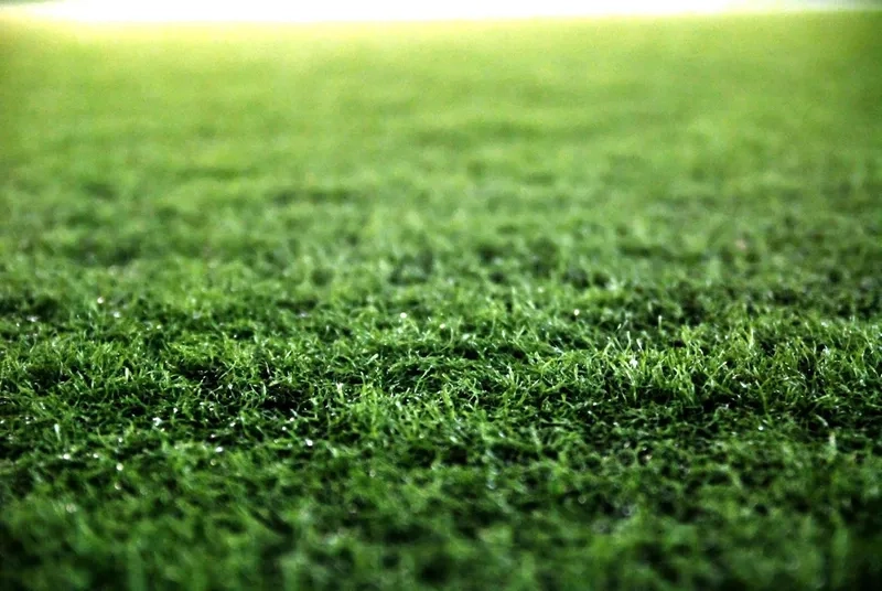 Background sân cỏ gradient mang lại hiệu ứng màu mềm mại và đẹp mắt