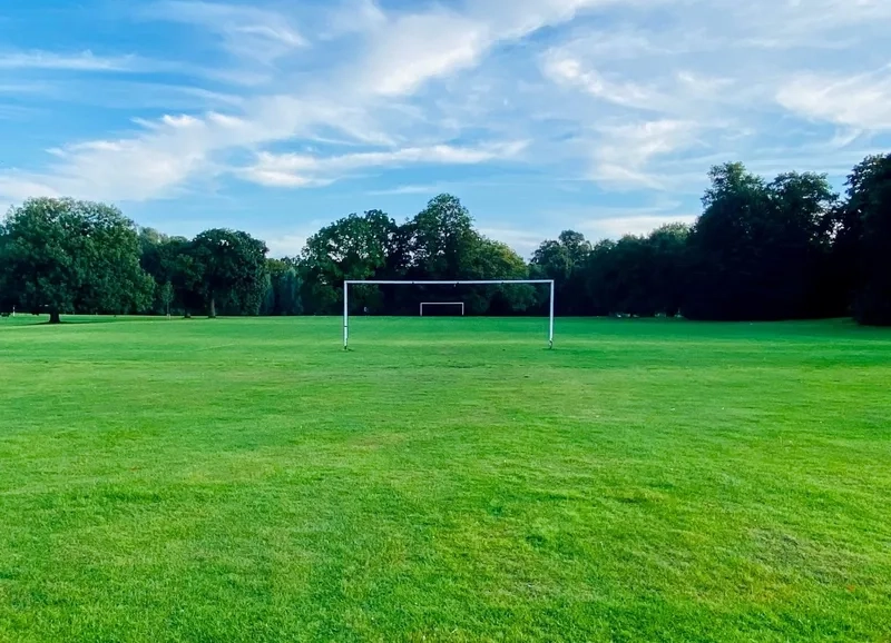 Tải ngay background sân cỏ vector eps chất lượng cao cho designer