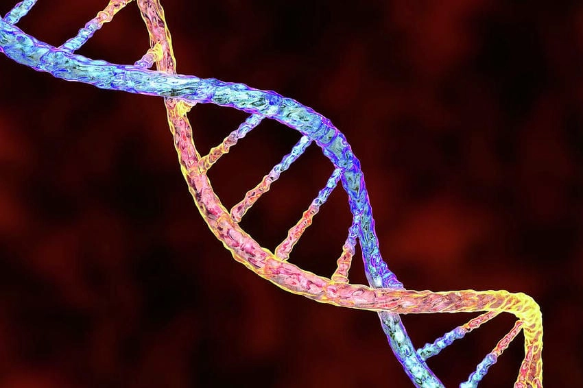 Background sinh học chuyên nghiệp nổi bật rõ