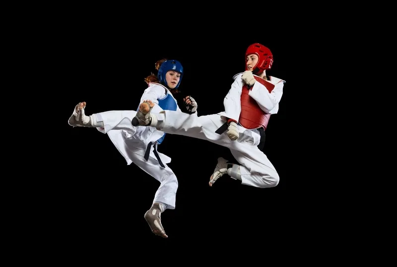 Tải background taekwondo vector chất lượng cao