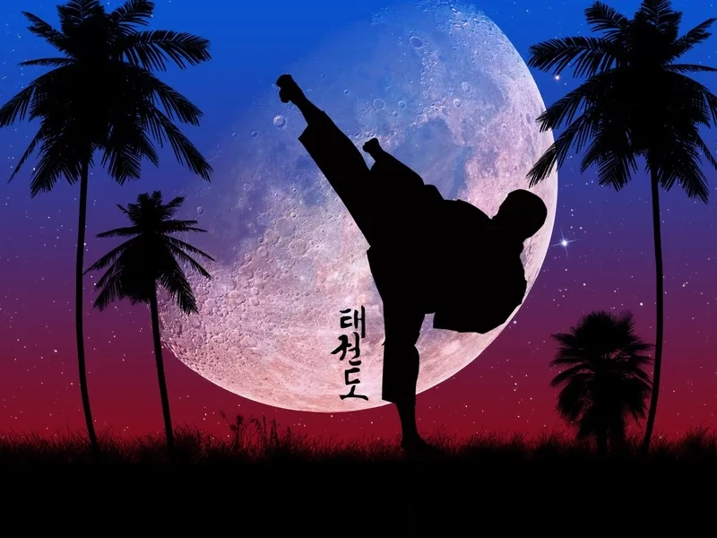 Background taekwondo cho điện thoại dễ tải và đẹp