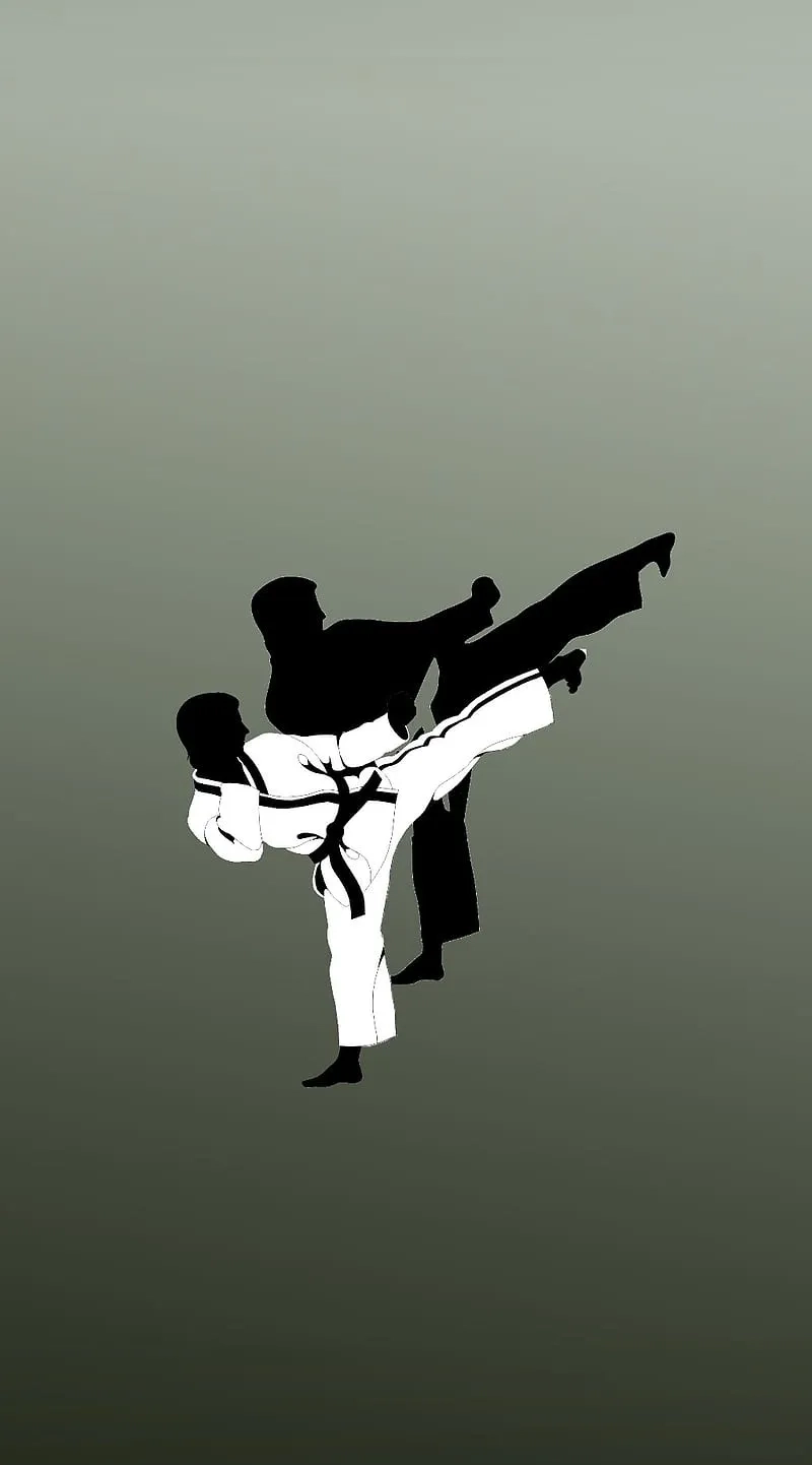 Background taekwondo màu đỏ xanh nổi bật và năng động