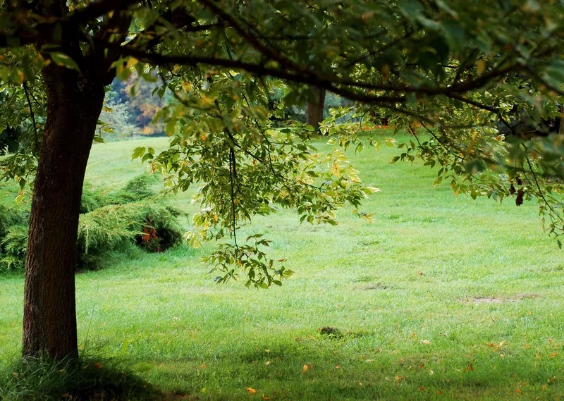 Thiết kế banner ấn tượng cùng background thiên nhiên