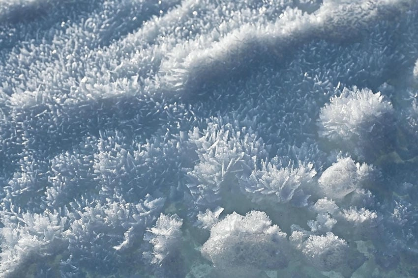 Background tuyết lung linh nổi bật giữa ánh sáng