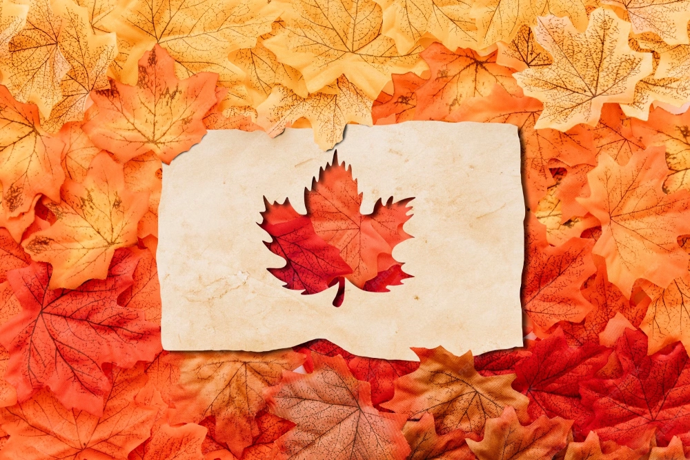 Hình nền lá phong đẹp đầy chất thơ