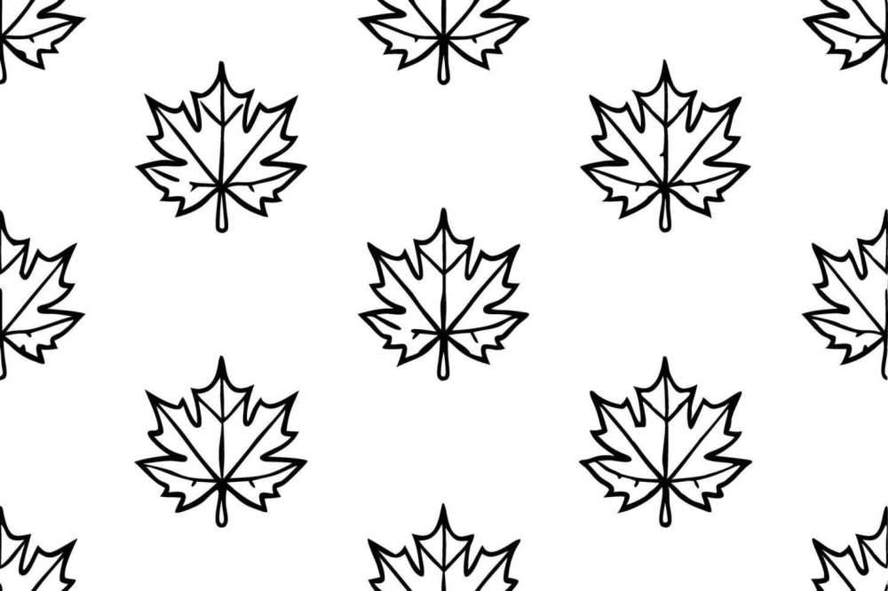 Hình nền lá phong chill thư giãn tâm trạng