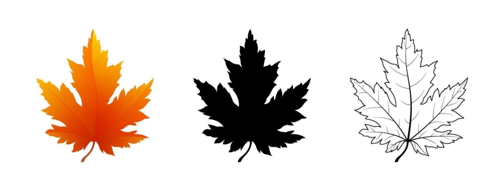 Background lá phong 3d sống động chân thực