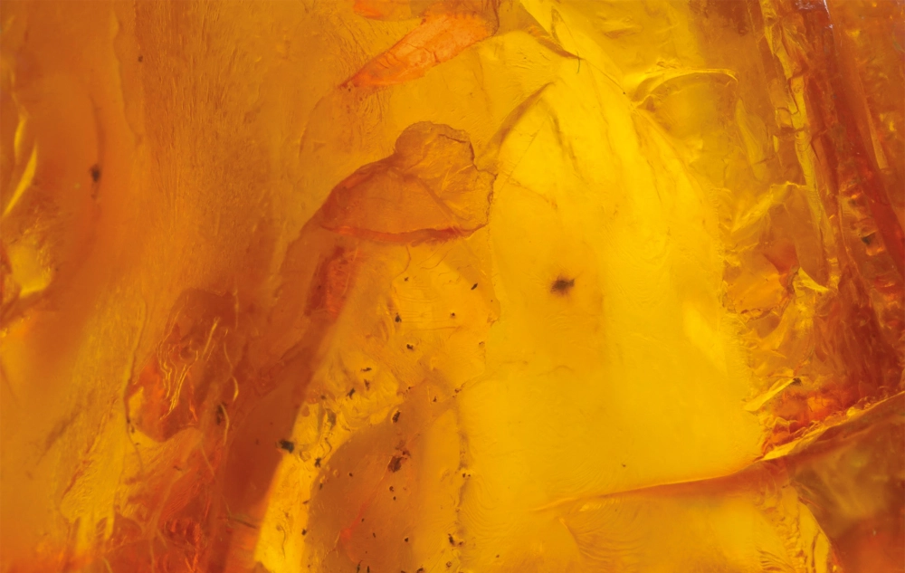 Ứng dụng mẫu Background Amber Haze cho thiết kế