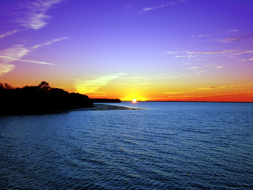 Rõ nét đến từng chi tiết background bình minh hd mới