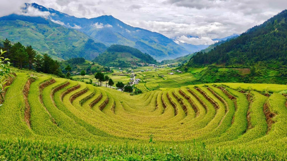 Nét văn hóa trong background ruộng bậc thang dân tộc