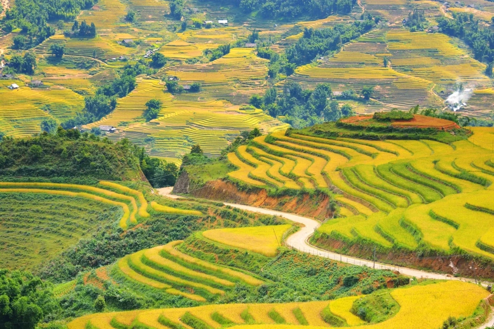 Ngắm nhìn những tấm ảnh background ruộng bậc thang đẹp mê hồn