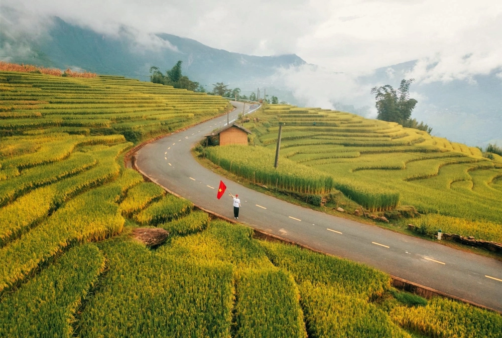 Mang hơi thở núi non vào background ruộng bậc thang vùng cao