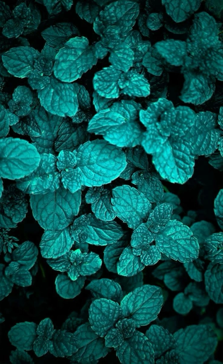 Tải ngay bộ hình nền background transformative teal đẹp nhất